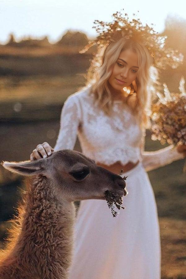 Two Pieces A-line Chiffon Long Sleeves Bridal Gown Wedding Dresses