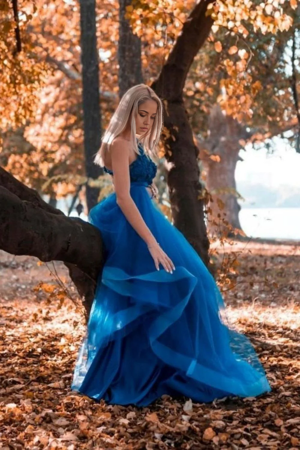 A Line One Shoulder Royal Blue Long evening gown Prom Dress with Appliques