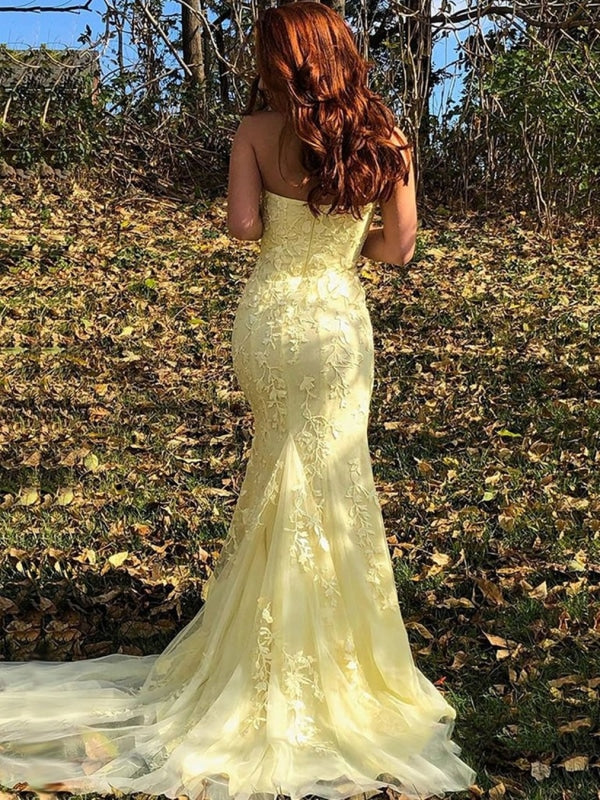 Mermaid  Lace Long Prom Dresses
