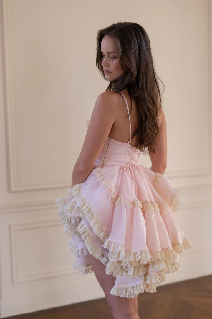 Charming Spaghetti Straps Backless Sleeveless  Lace Homecoming Dresses