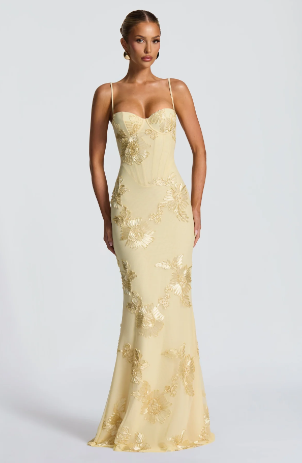 Elegant Spaghetti Straps Backless Embroidery Floor-Length Prom Dresses