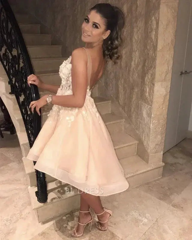 Blush Pink Sleeveless Deep V Neck Wide Strap 3D Floral Lace Applique Open Back Illusion Mesh Tulle A Line Mini Homecoming Dress