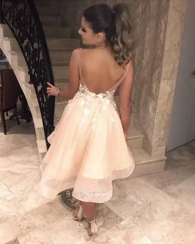 Blush Pink Sleeveless Deep V Neck Wide Strap 3D Floral Lace Applique Open Back Illusion Mesh Tulle A Line Mini Homecoming Dress