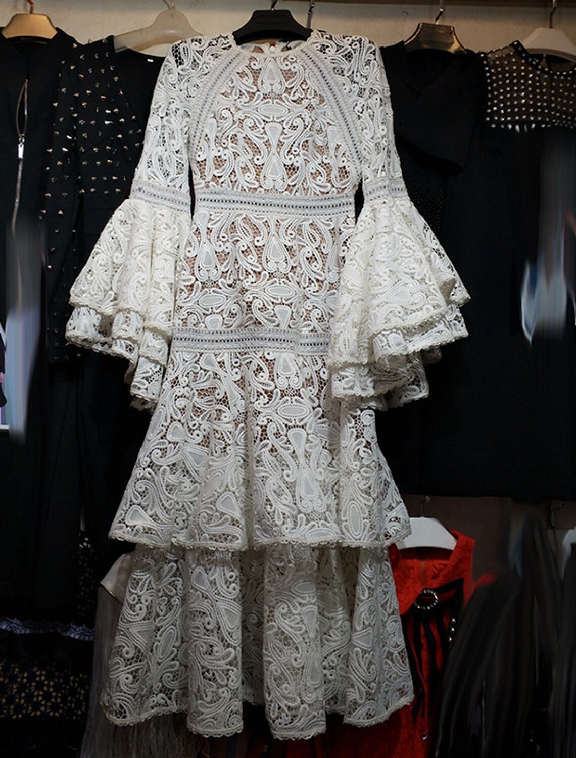 Elegant A-Line long sleeve dress with lace and appliques.