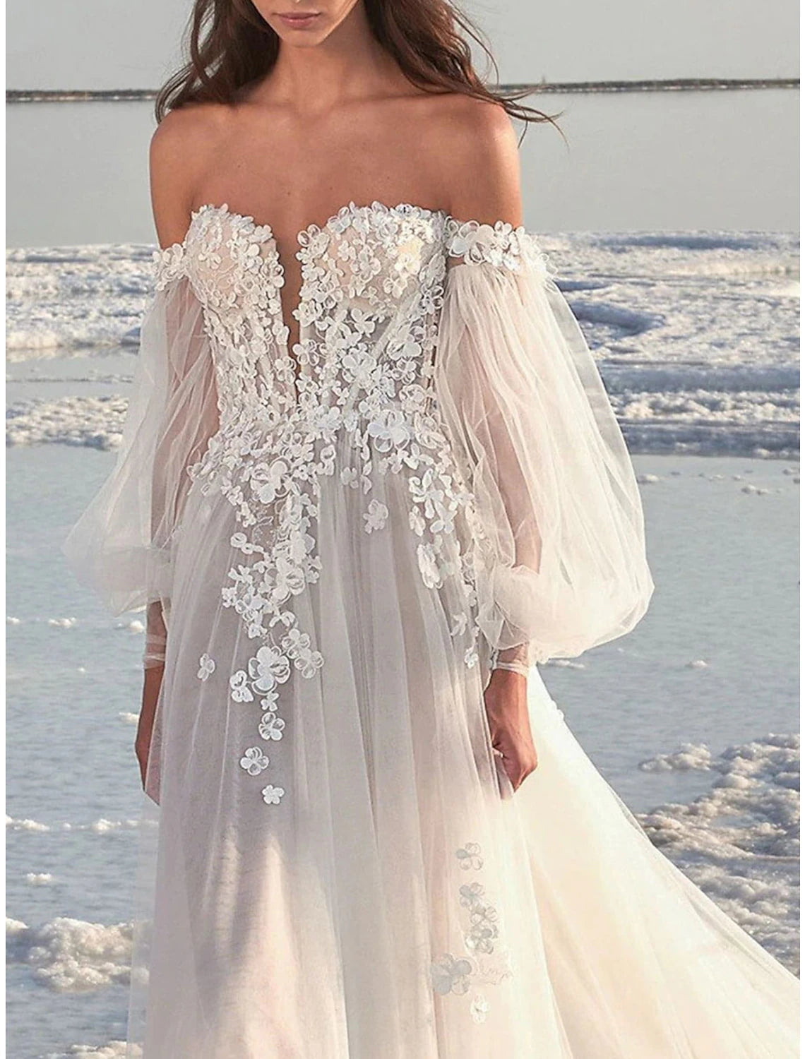 Back view of the A-Line off-shoulder long sleeve lace wedding dress, showing the court train and appliques.