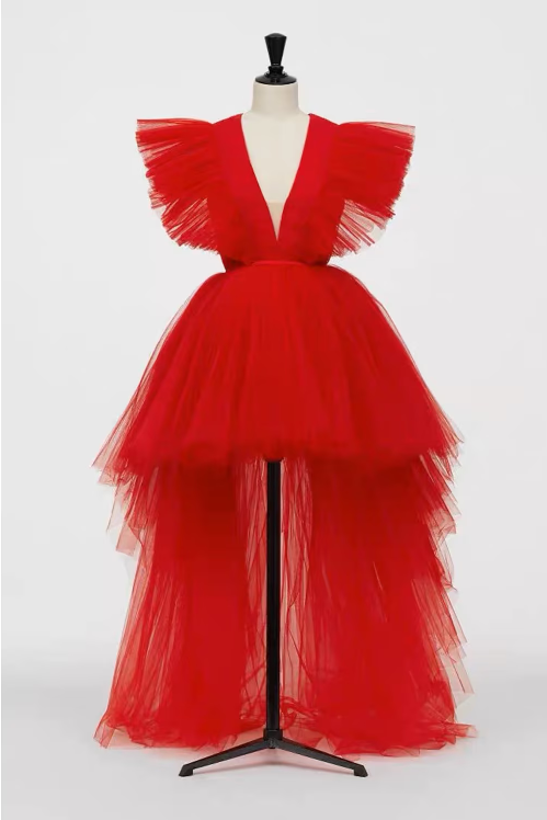 Woman wearing an elegant A-line V-neck prom dress with fringe and tulle details.