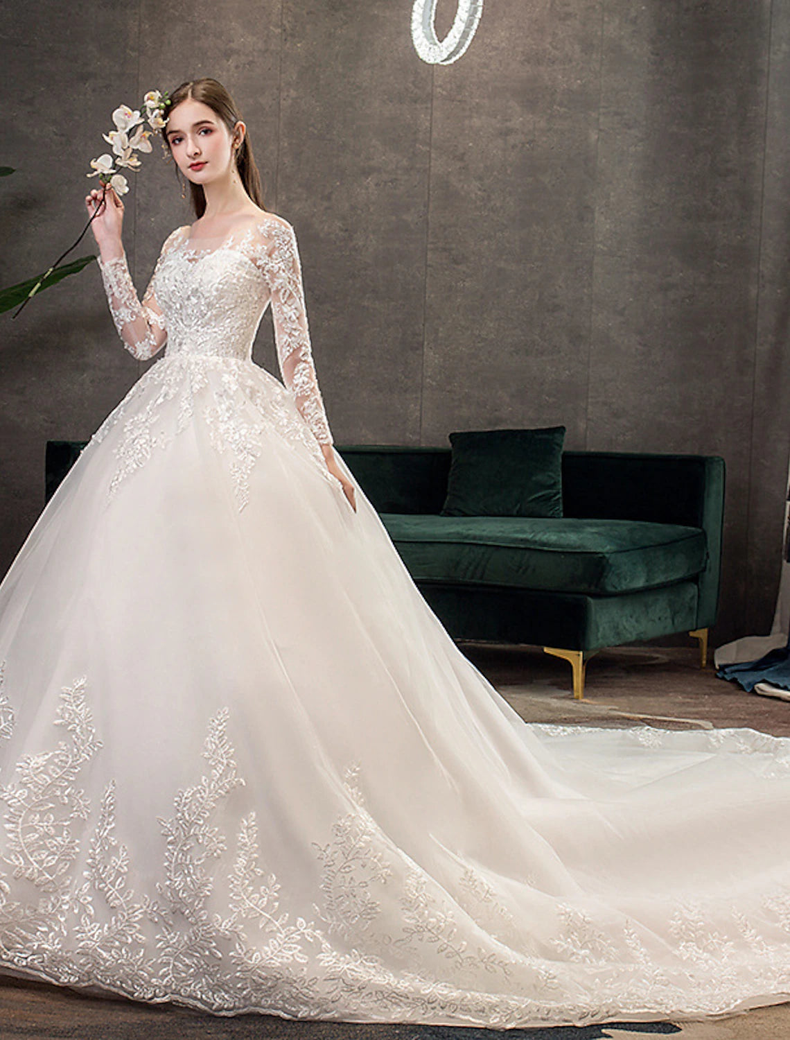 Elegant ball gown wedding dress with illusion neck and long lace sleeves.
