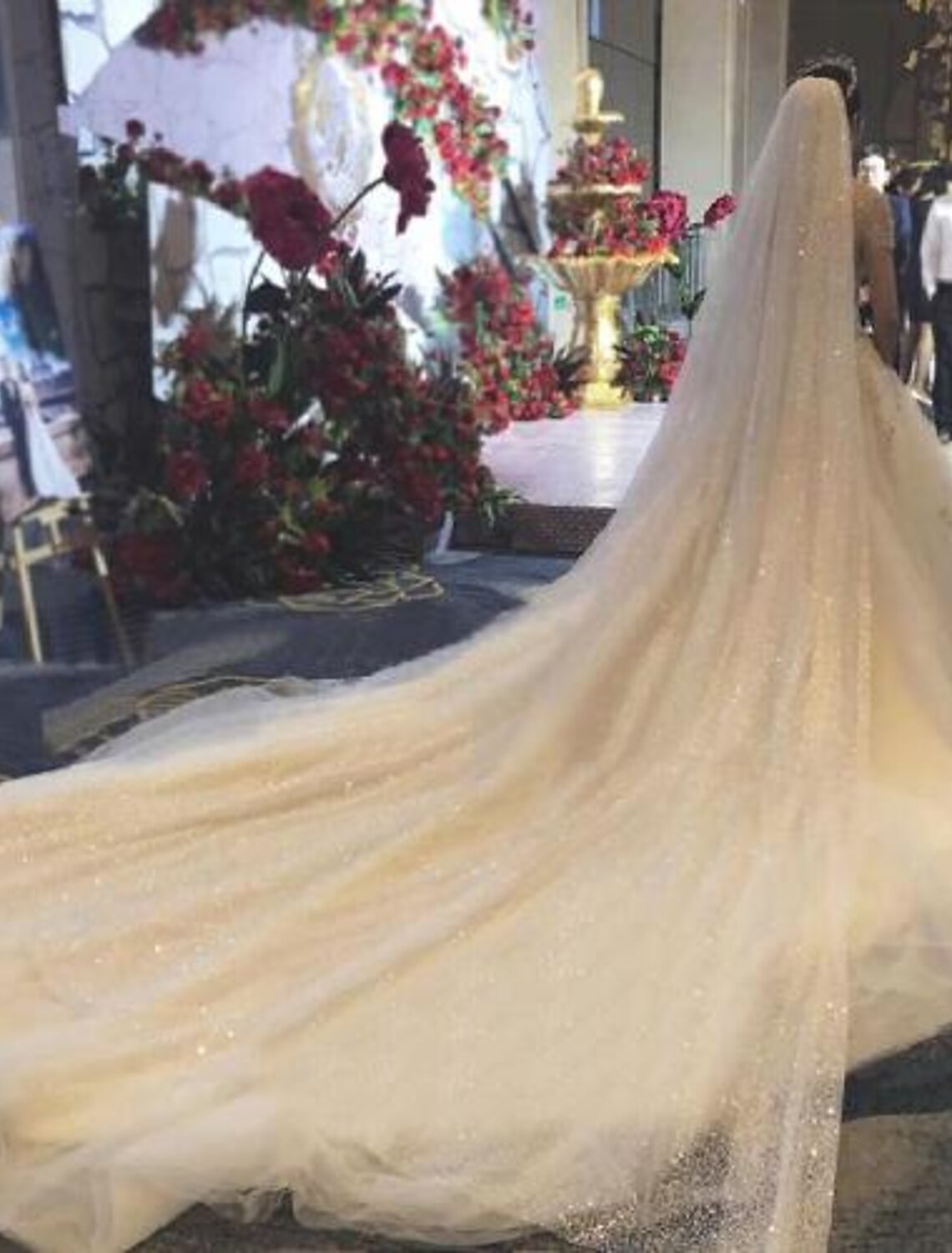 Bride wearing a long, flowing one-tier cathedral wedding veil.