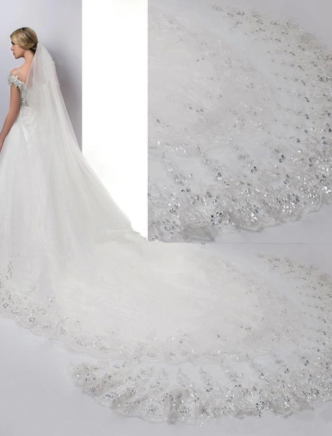 A bride wearing an elegant one-tier cathedral wedding veil with delicate lace and embroidery.