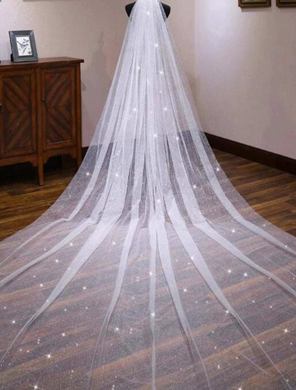 Bride wearing an elegant one-tier lace cathedral wedding veil.