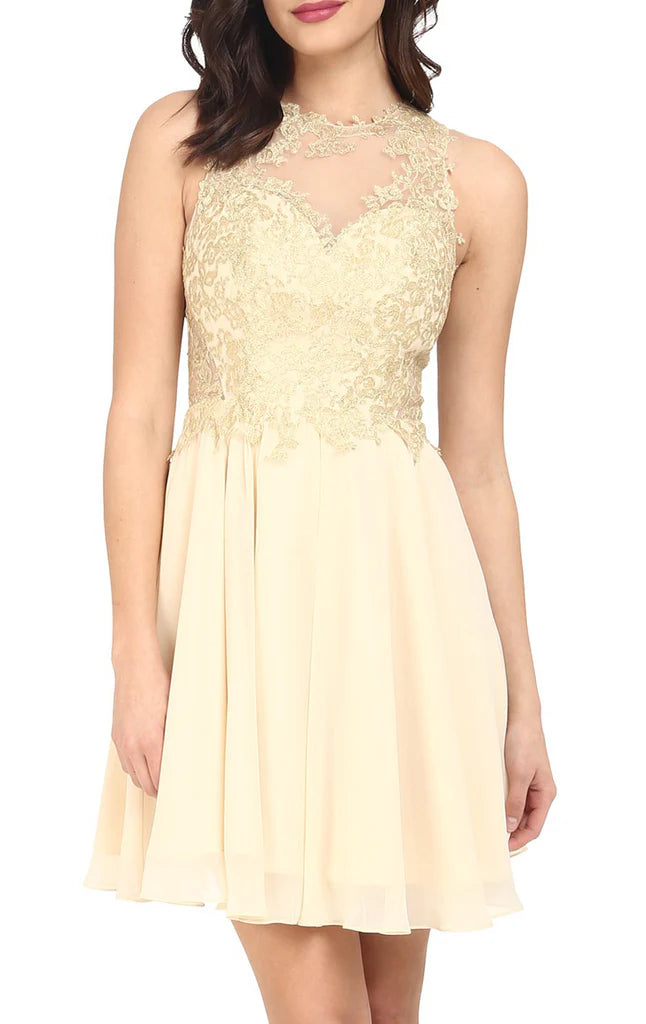 Elegant sleeveless chiffon lace maxi gown with plunging neckline.