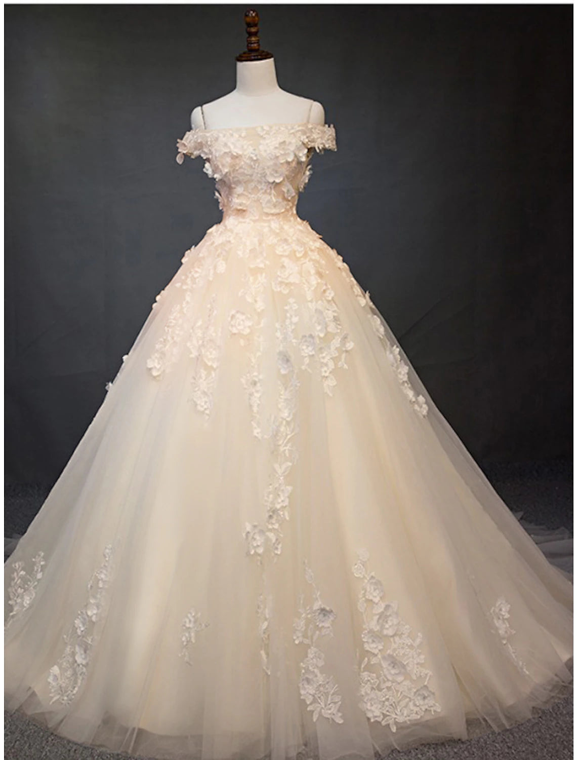 Full view of the elegant vintage off-shoulder lace ball gown wedding dress with pearl appliques and cathedral train.