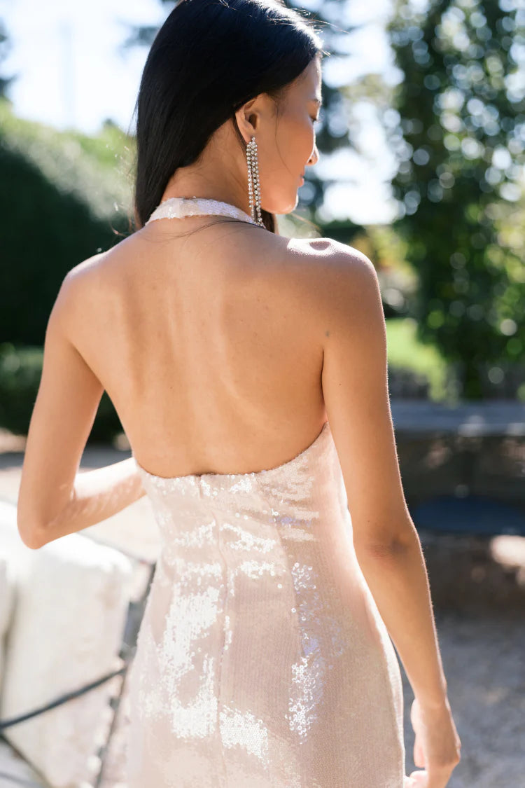 Elegant Halter Neck Plunging V Neck Open Back Sequin Mesh Bodycon Maxi Evening Dress For Formal Evening Gala Wedding Guest Bridesmaid