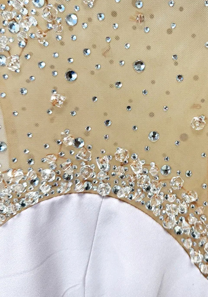 Elegant Long Sleeve Sheer Mesh Beaded Embellished High Neck Bodycon Maxi Prom Dress