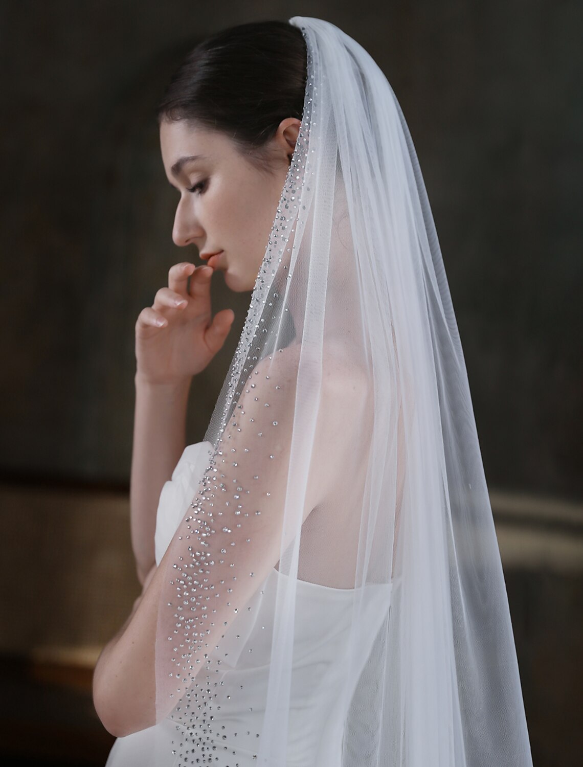 Bride from behind, showing the full length and elegant drape of a one-tier cathedral veil.