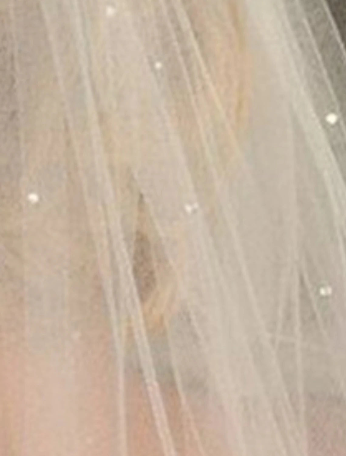 Back view of a bride showcasing a flowing tulle elbow veil.