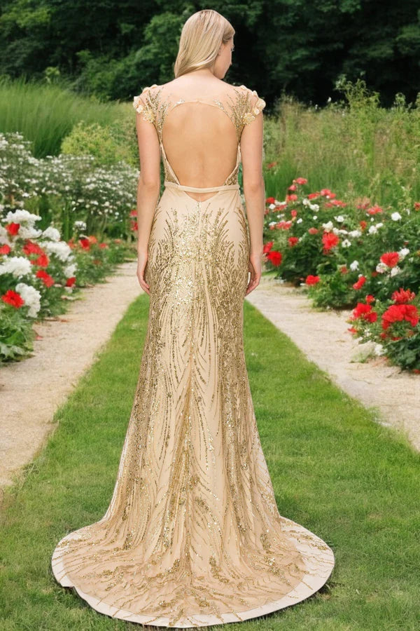 Prom Dress Champagne Cap Sleeve Mermaid Maxi Dress With Floral Applique Open Back Gold Sequin Formal Evening Party Gown