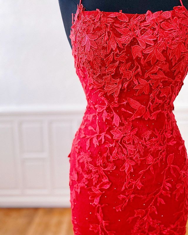 Side view of a red A-line prom dress with delicate lace.