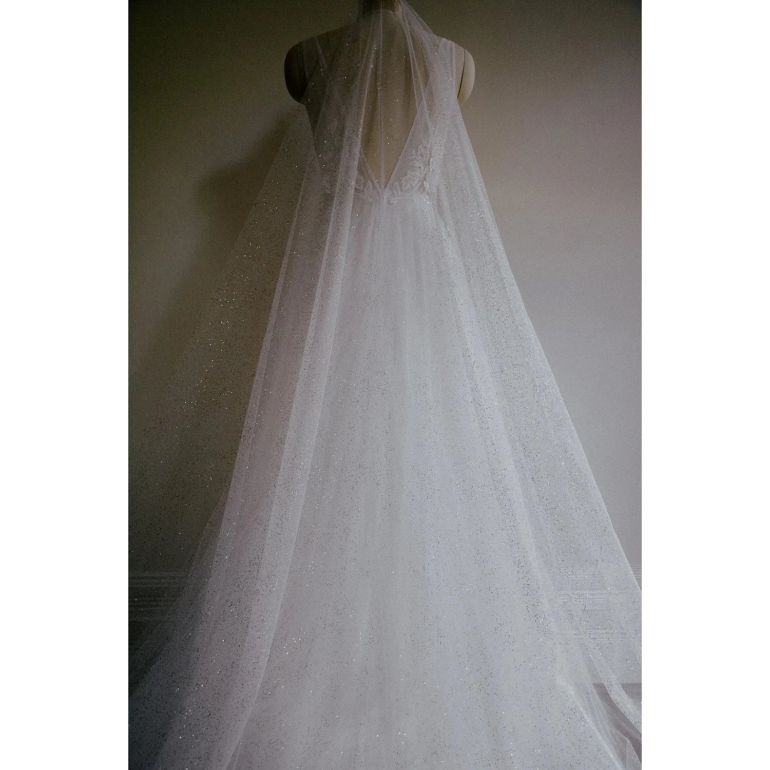 Back view of a bride with a long, sequined cathedral veil.
