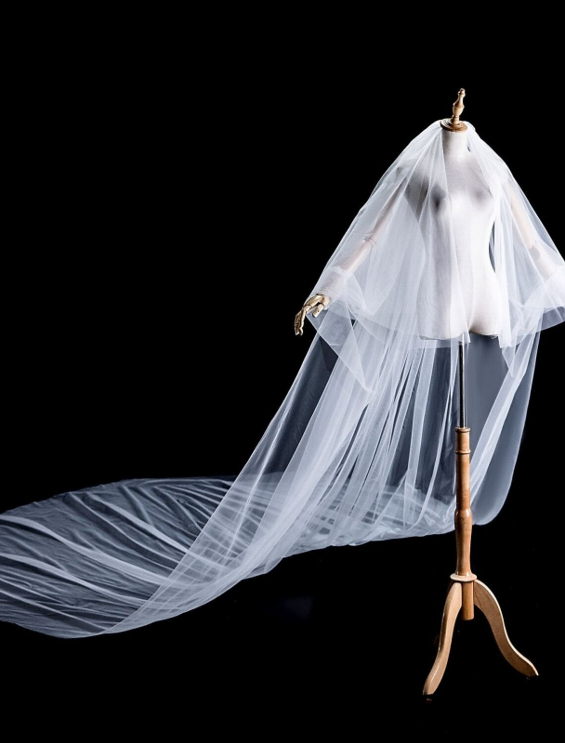 Back view of a bride with a long 350cm cathedral wedding veil.