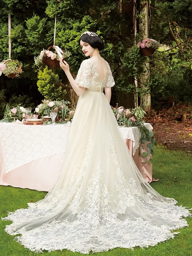 Back view of an A-line wedding gown featuring a chapel train and delicate appliques.
