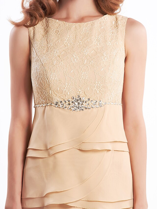 Full length view of the elegant chiffon dress.