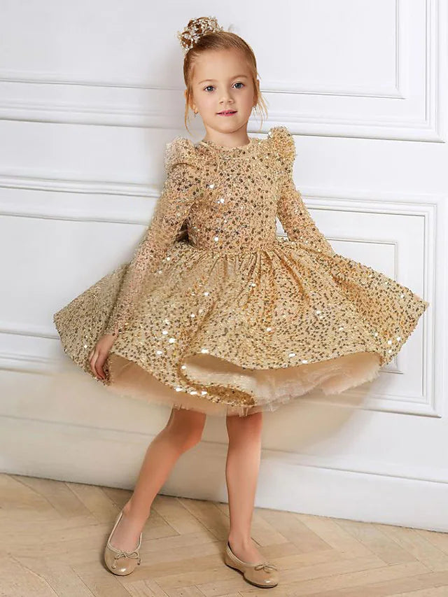 Front view of an elegant princess tulle flower girl dress with long sleeves and a jewel neck.