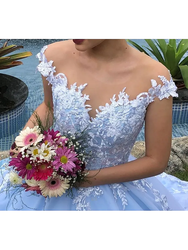 Back view of ball gown wedding dress showing court train and appliques.