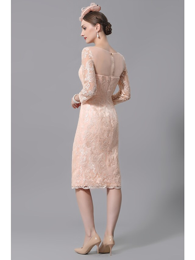 Back view of a knee-length lace dress with pleats and appliques.