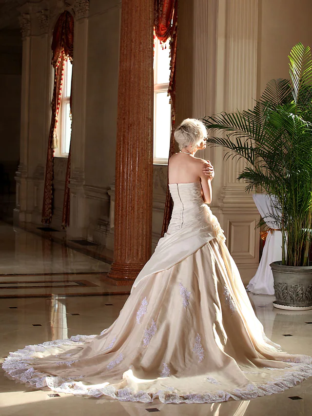 Plus size A-Line wedding dress with elegant appliques.